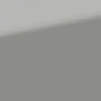 Silver Metallic (1L0)